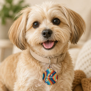 Retro Groovy 70's Rainbow Daisy Pet Tag