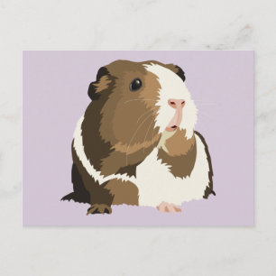 Retro Guinea Pig 'Betty' Postcard