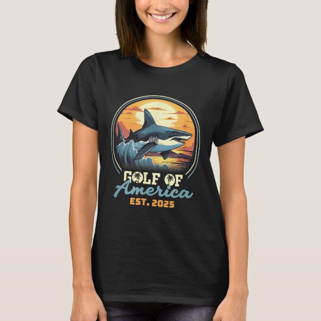 Retro Gulf Of Usa America 2025 American Flag Gulf  T-Shirt (Front)
