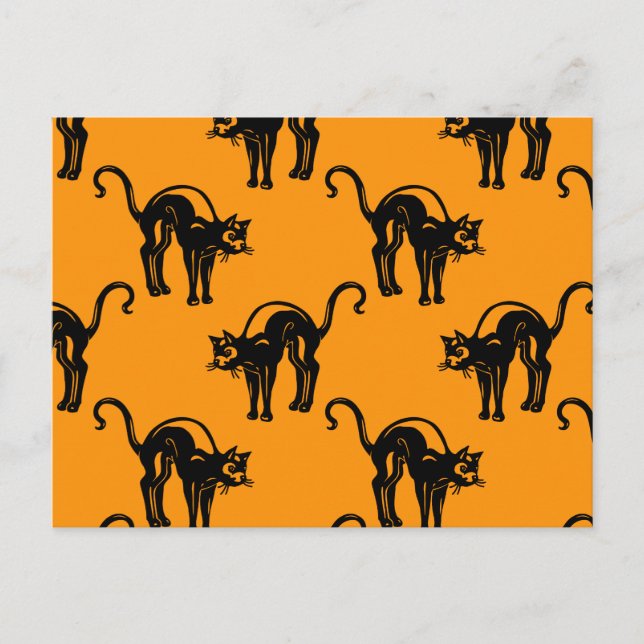 Retro Halloween Black Cats Postcard (Front)