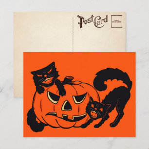 Retro Halloween Cats Postcard
