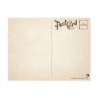 Retro Halloween Cats Postcard