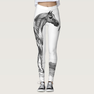 Retro horse muscle anatomy picture leggings