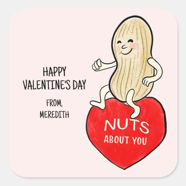 Retro Mid Century Style Nuts About You Valentine Square Sticker (Front)