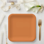 Retro Modern Orange Solid Colour Paper Plate<br><div class="desc">Retro Modern Orange Solid Colour. A gorgeous wash of all-over solid colour. Striking vintage shade of spiced orange.</div>