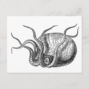 Retro Octopus Postcard