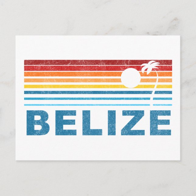 Retro Palm Tree Belize Postcard (Front)