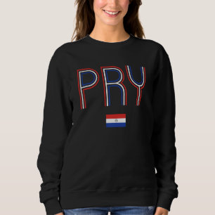 Retro Paraguay Flag Paraguayan Pride Vintage Parag Sweatshirt