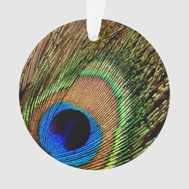 Rétro Peacock (devant)