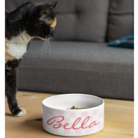 Retro Pink Chequered Cat Kitty Puppy Pet Name Food