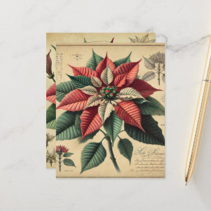 Retro Poinsettia Festive Botanical Scrapbook Paper