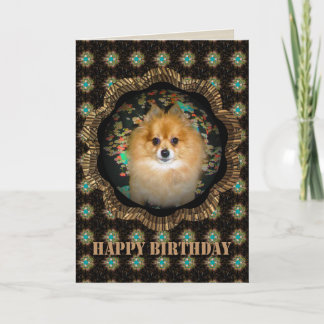 Retro Pomeranian Birthday Card