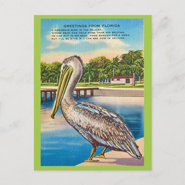 Retro Postcard of Florida  (Front)