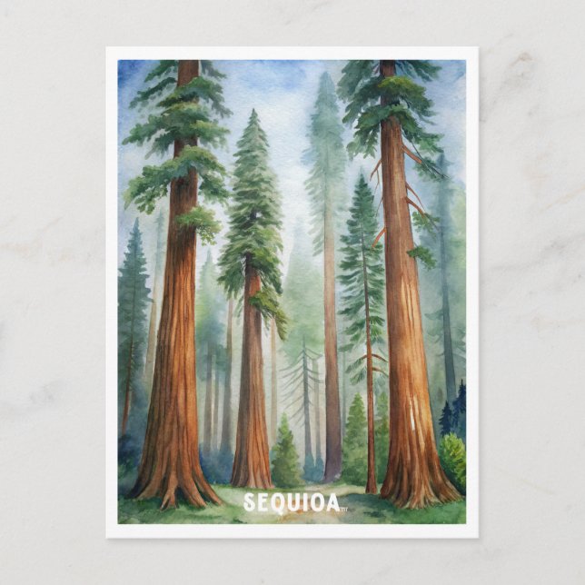 Retro Sequoia National Park Postcard (Front)