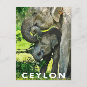 Retro Style Postcard Asian Elephants