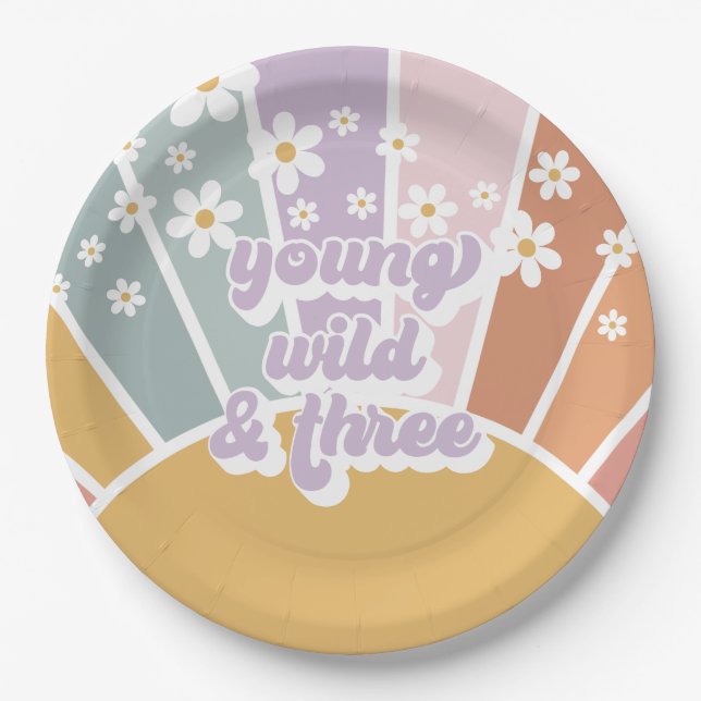 Retro Sunshine Rainbow Daisy 3rd Birthday Paper Plate (Front)