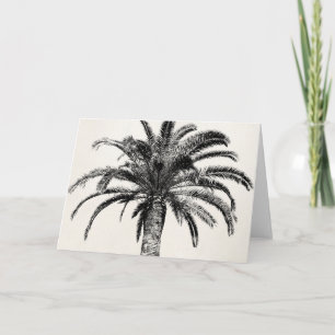 Retro Tropical Island Palm Tree in Black and White Card