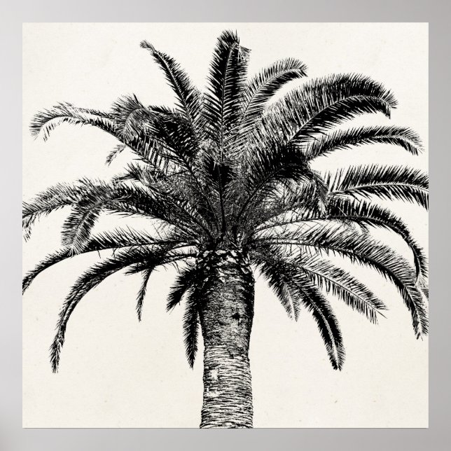 Retro Tropical Island Palm Tree in Black and White Poster (Front)