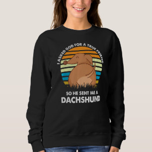 Retro True Friend Dachshund Dogs Lover Dog Breed P Sweatshirt