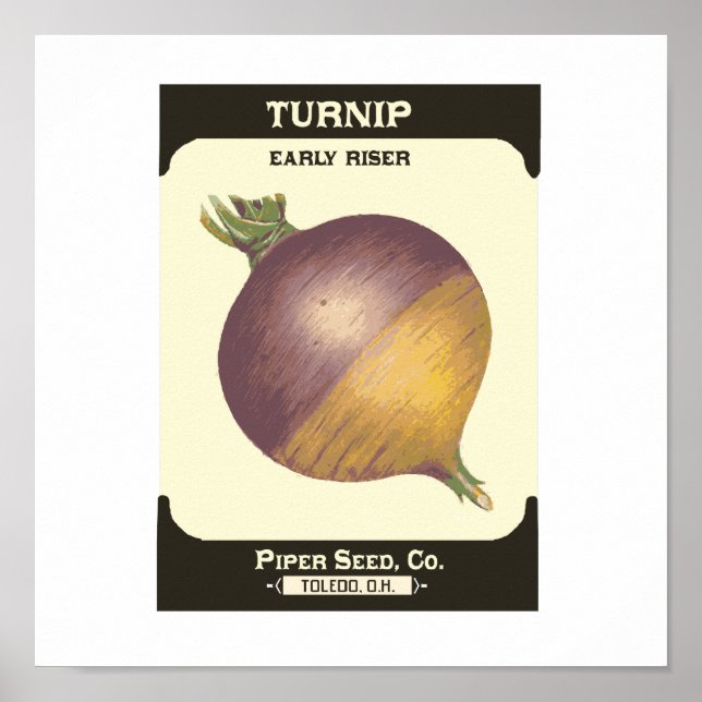Retro Turnip Vegetable Seed Packet Poster Print (Front)
