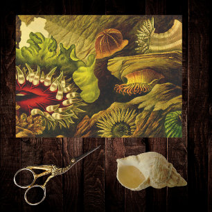 Retro Undersea Life Sea Anemones & Coral 3 Styles Tissue Paper