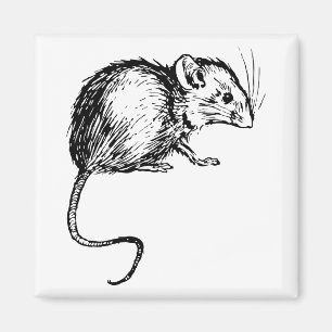 Retro Vintage Black & White Fluffy Mouse Magnet