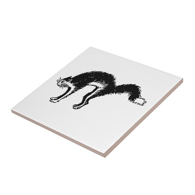 Retro Vintage Black & White Scared Arched Cat Tile (Side)