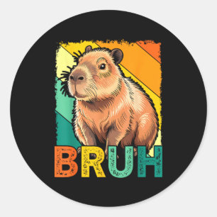 Retro Vintage Capybara Bruh Meme For Boys Girls Me Classic Round Sticker