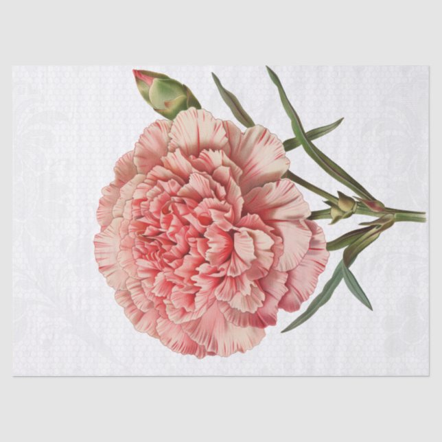 Retro Vintage Carnation Flower Tissue Paper (Front)