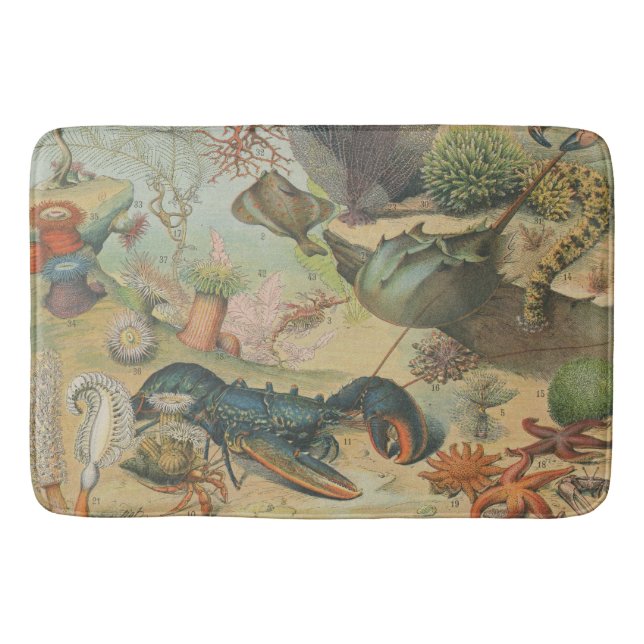 Retro vintage marine biology ocean fish bath mat (Front)
