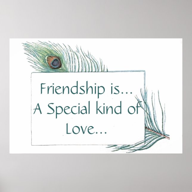Retro Vintage Peacock Feather Friendship Quote Poster (Front)