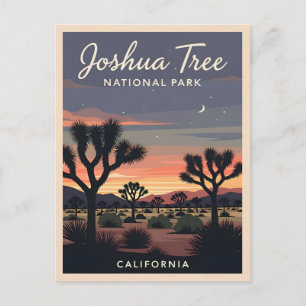 Retro Vintage Travel Joshua Tree National Park Postcard