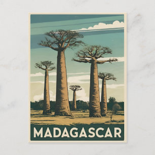 Retro Vintage Travel Madagascar Baobab Tree  Postcard