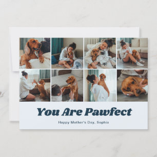 Retro You Are Pawfect Dog Mom 12 Photo Blue Holiday Card