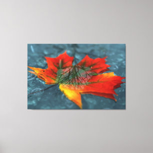 Retroreflection Canvas Print