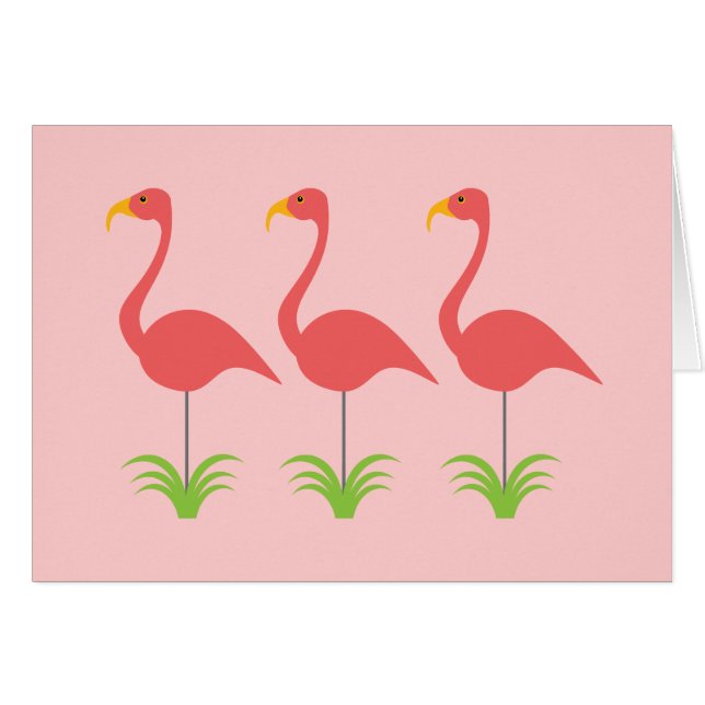 Rétros Flamants roses roses de corail pour toute (Devant Horizontal)