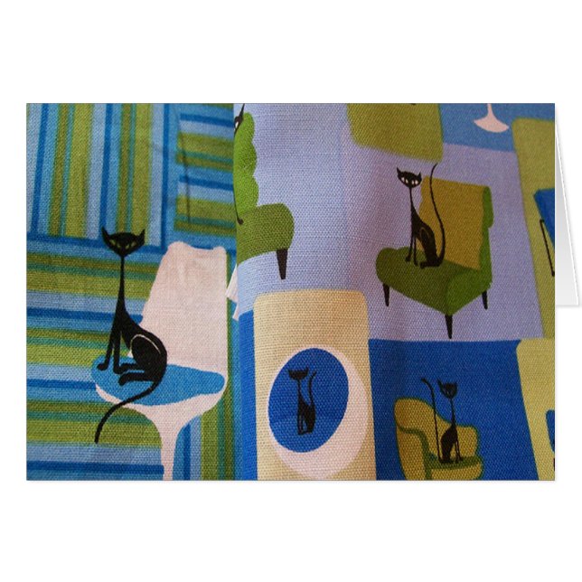 Rétros minous (Devant horizontal)