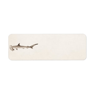 Rétros requins de poisson-marteau d'illustration