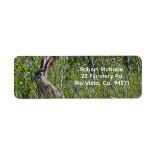 Return Address Label