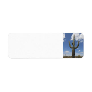 Return Address Label