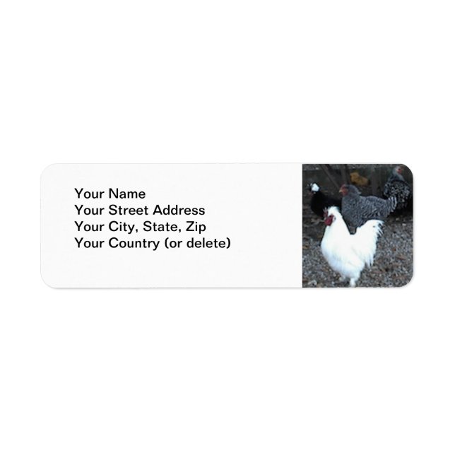 Return Address Label: Chickens (Front)