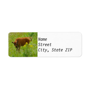 Return Address Labels - Bison Calf Yellowstone