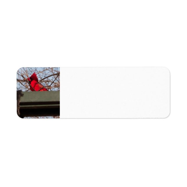return address labels Cardina; (Devant)