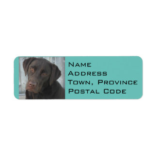 Return Address Labels - Chocolate Lab