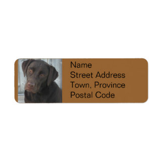 Return Address Labels - Chocolate Lab