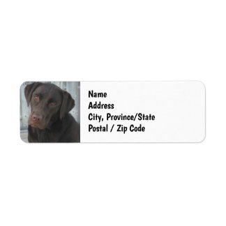 Return Address Labels - Cute Chocolate Lab Dog