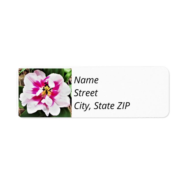 Return Address Labels Pink Tulip. (Front)