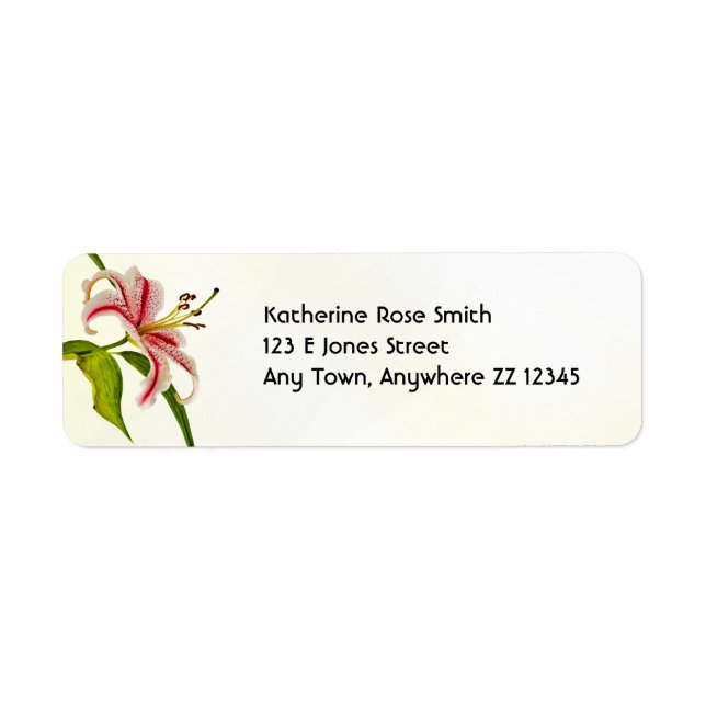 Return Address:  Stargazer Lily Floral Photography (Front)