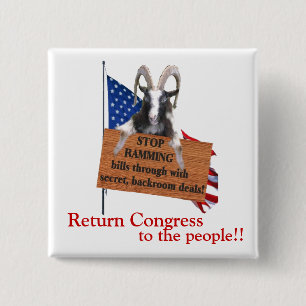 Return Congress to the People! 2 Inch Square Button