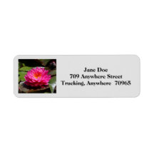 Return mailing address labels #30